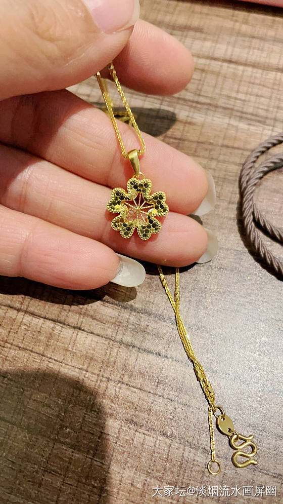 新入的一朵小花花_金