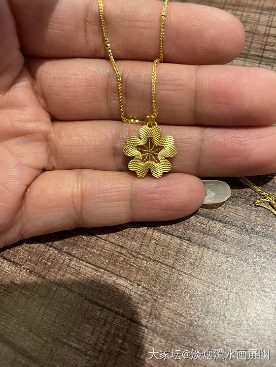 新入的一朵小花花_金