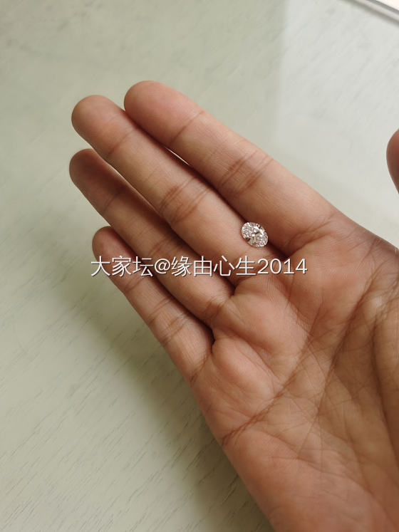 强烈要求校长下次多搞点异形培育钻_福利社培育钻