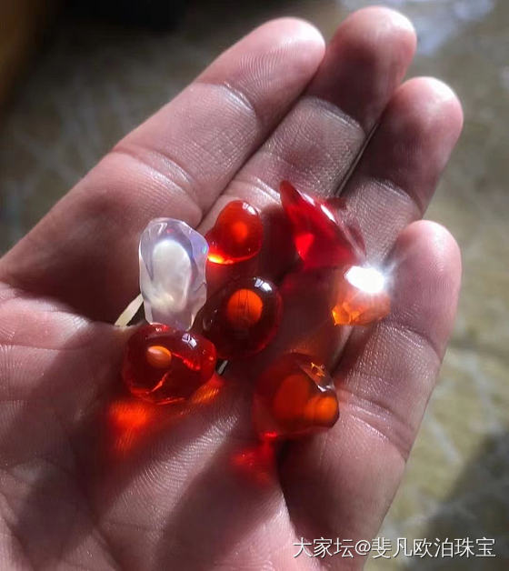 荷包蛋火欧泊 克拉价650_彩色宝石