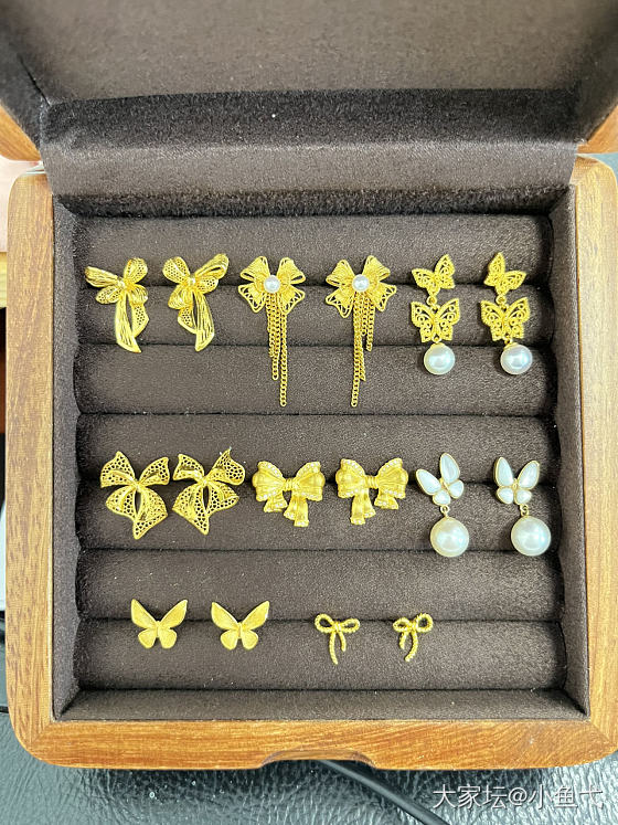 都是蝴蝶（结）_金