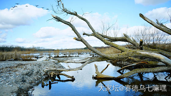 锦甸平铺鸭绿水，白云飞动蔚蓝天。_景色