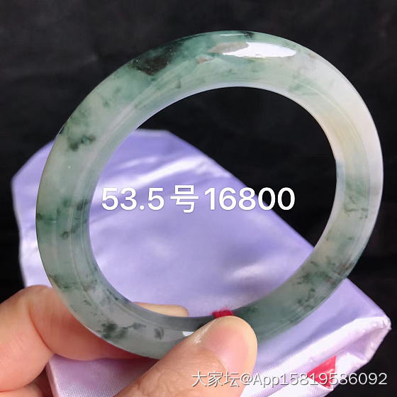 想种颗沙柳缺没🉐种_支付宝