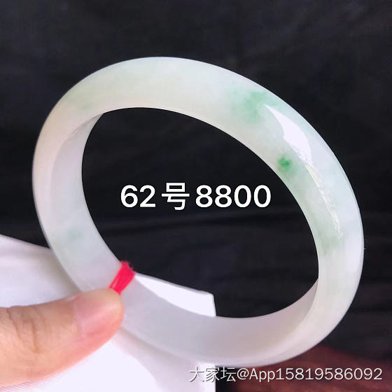 想种颗沙柳缺没🉐种_支付宝