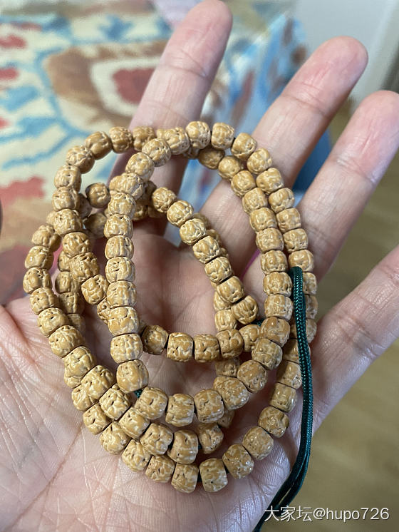 第一次买佛手小金刚_菩提子