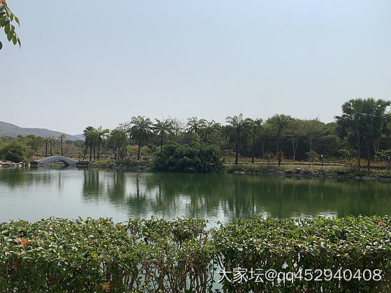 南山寺拜佛_文玩金
