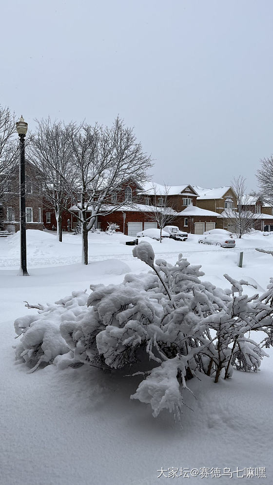 二师兄克服铲前抑郁症，努力铲雪，娃们少年不知愁滋味，铲雪是玩，我还是回被窝里躺着_景色