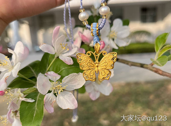 晒一下我的蝶贵妃_挂件金