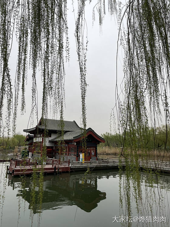 皇上，您还记得当年大明湖畔的夏雨荷吗?”_济南景色