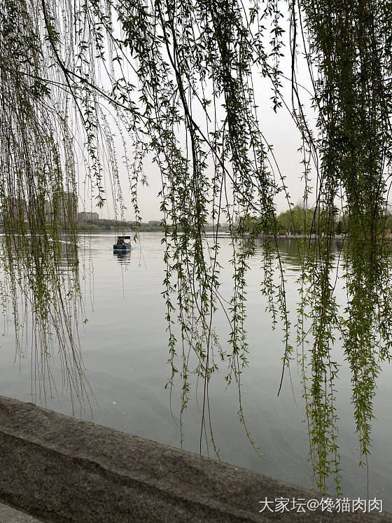 皇上，您还记得当年大明湖畔的夏雨荷吗?”_济南景色