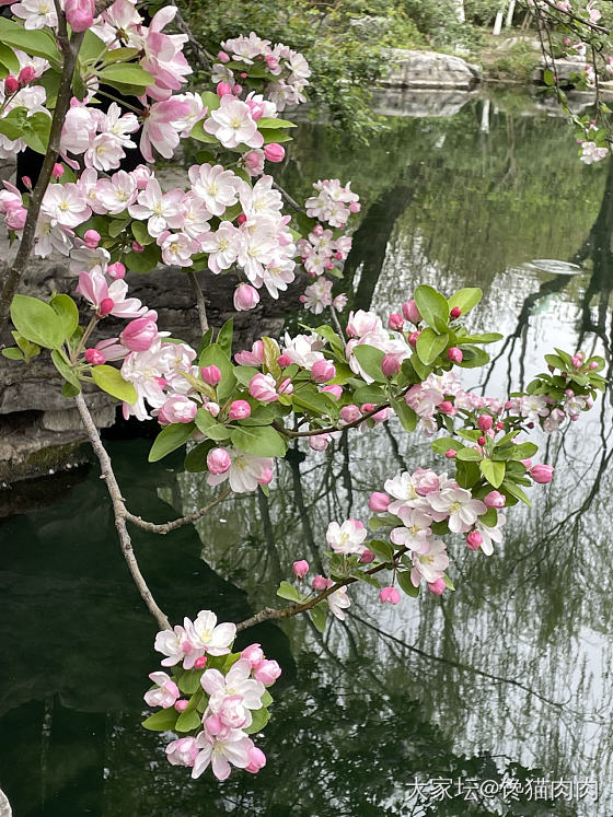 皇上，您还记得当年大明湖畔的夏雨荷吗?”_济南景色