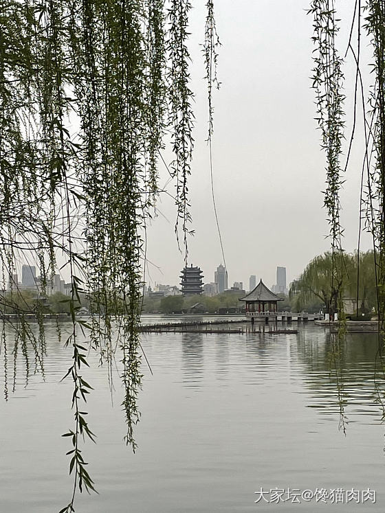 皇上，您还记得当年大明湖畔的夏雨荷吗?”_济南景色