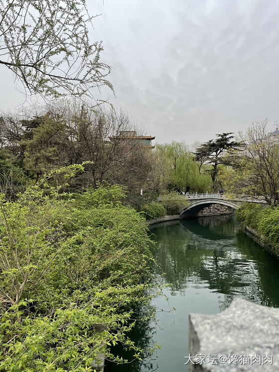 皇上，您还记得当年大明湖畔的夏雨荷吗?”_济南景色