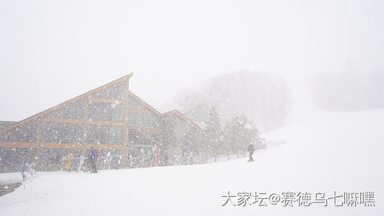 大风大雪，两天一夜的滑雪之旅_旅游
