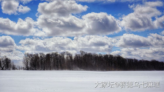 依然冰封的湖泊和田野_景色