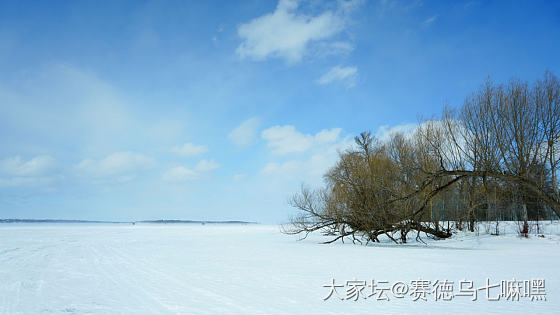 依然冰封的湖泊和田野_景色