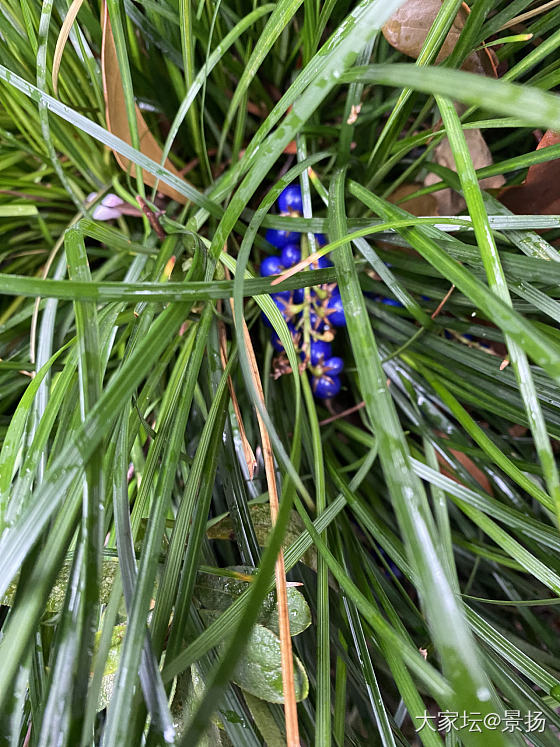 下雨天_古董首饰翡翠和田玉