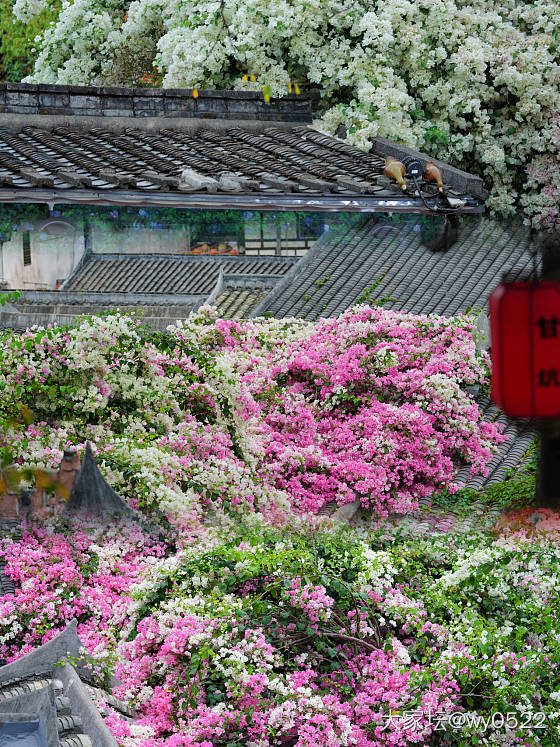 一场春雨的邂逅_手表生活闲聊