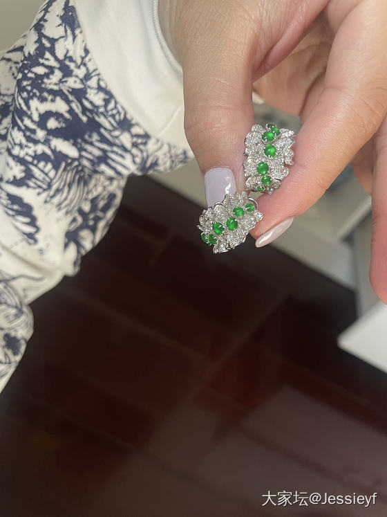 小小龙石裙带耳钉_翡翠