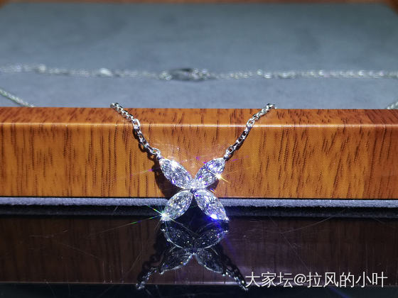 今日份快乐～马眼四叶草项链_钻石