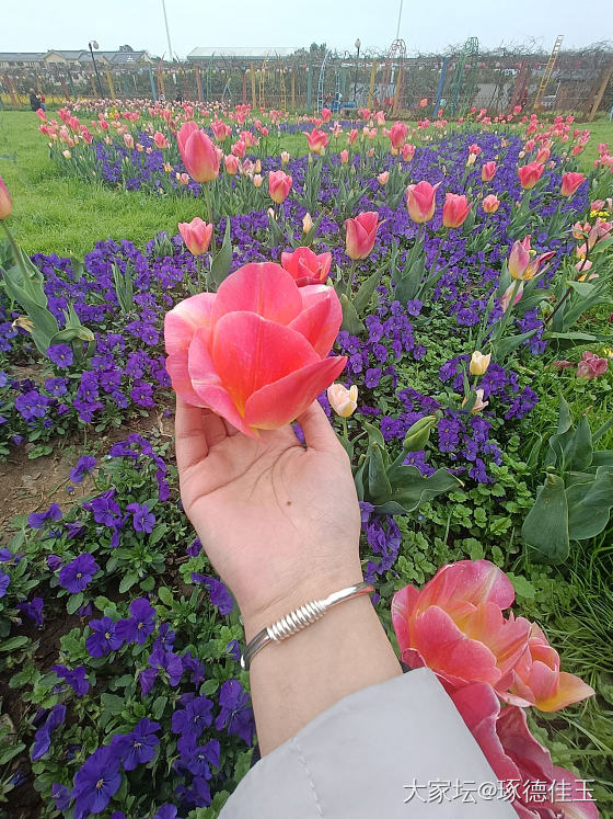 今天右手戴了啥？😉_手饰银