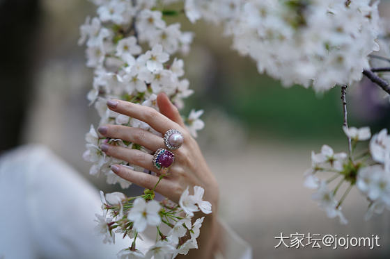 带上石头去春游_花景色坛友风采首饰