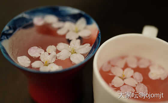 带上石头去春游_花景色坛友风采首饰