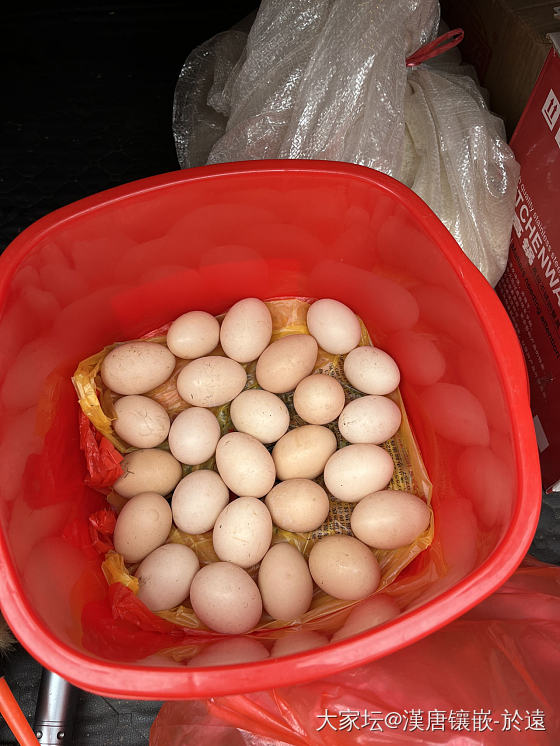 自家养的鸡鸭，吃稻谷和米饭长大的鸡鸭。真正土鸡蛋，鸭蛋😁一起有大几十个，家有爱吃...