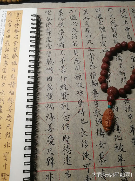 练字打卡0411_书法