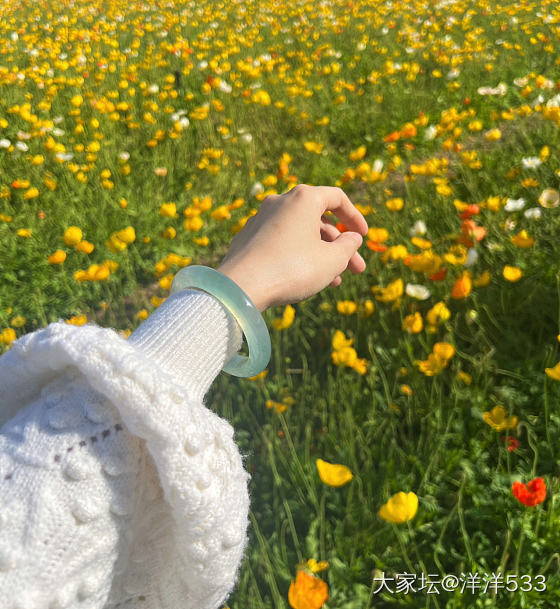 “花田里犯的错～～～”_手镯翡翠