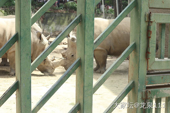 红山动物园真的要承包我未来一周的快乐_闲聊旅游