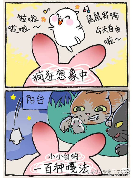 原创漫画又来啦！~鼠鼠越狱出逃记~祝大家五一快乐！
记录我家仓鼠小小白的一次出逃..._宠物故事闲聊