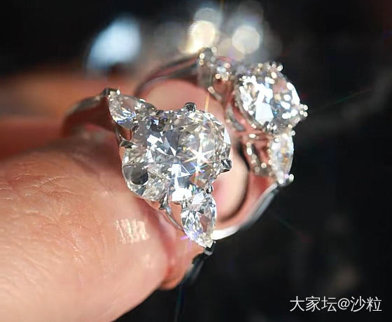 又有培育团，大家来互相分享好看款式呀_求款式培育钻钻石