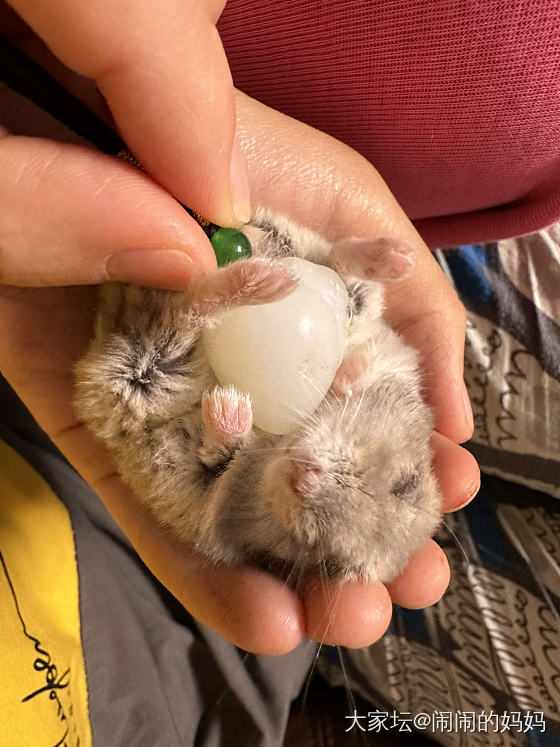 最近搞的小小件_和田玉