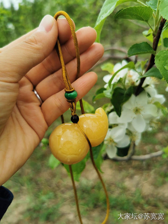 又入蜜蜡葫芦2枚_蜜蜡琥珀蜜蜡