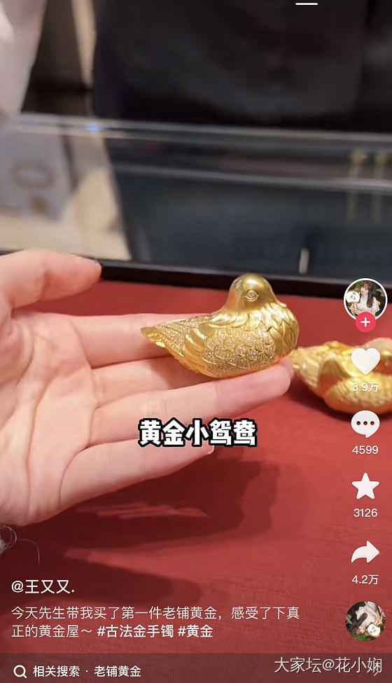 黄金鸳鸯_金