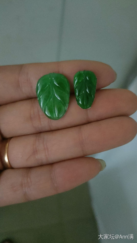 两片绿叶子_翡翠