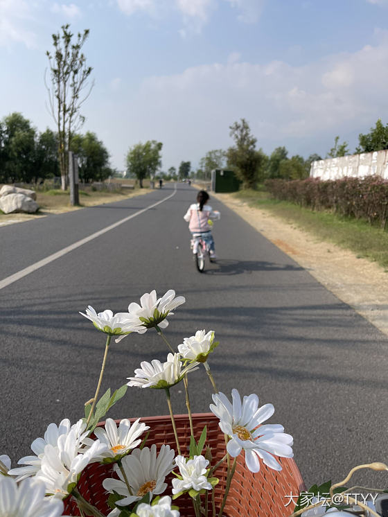 拖家带口的云南游记_云南旅游