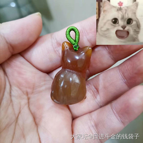 最近入手的脏橘小猫咪，这屁股可圆润了，好撸 (ૢ˃ꌂ˂⁎)_玉髓玛瑙