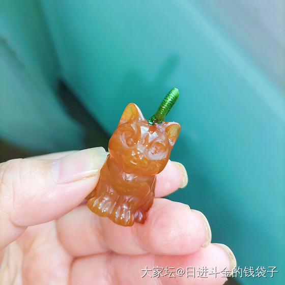 最近入手的脏橘小猫咪，这屁股可圆润了，好撸 (ૢ˃ꌂ˂⁎)_玉髓玛瑙