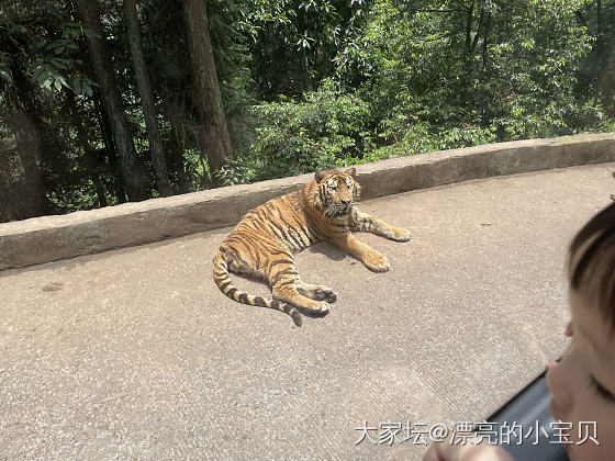 带娃娃看动物_首饰