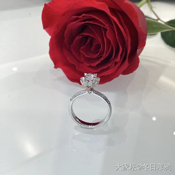 发现培育钻价格是真香_钻石