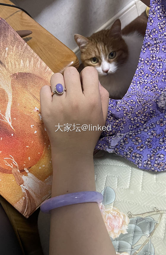 宠幸了半年的镯子_翡翠