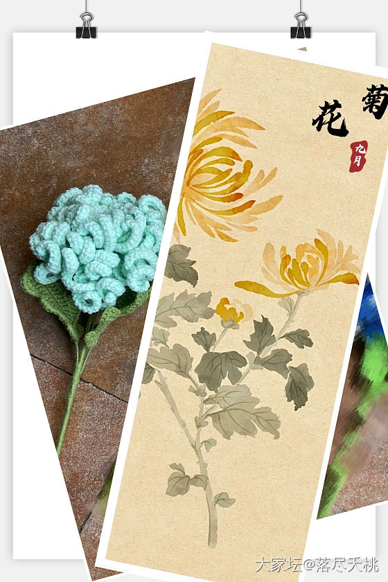 十二花神其六🌹_手工diy