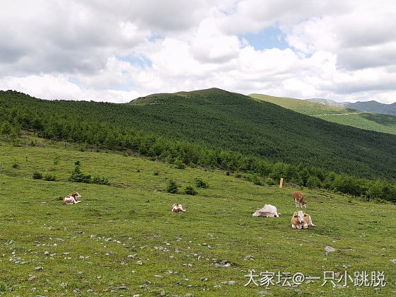 戴着刻着文殊菩萨心咒的镯子到五台山_手镯银