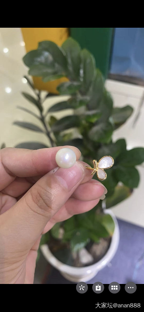 买的十块钱戒托，越戴越喜欢，把贝壳抠下来做了18k，哈哈_戒指