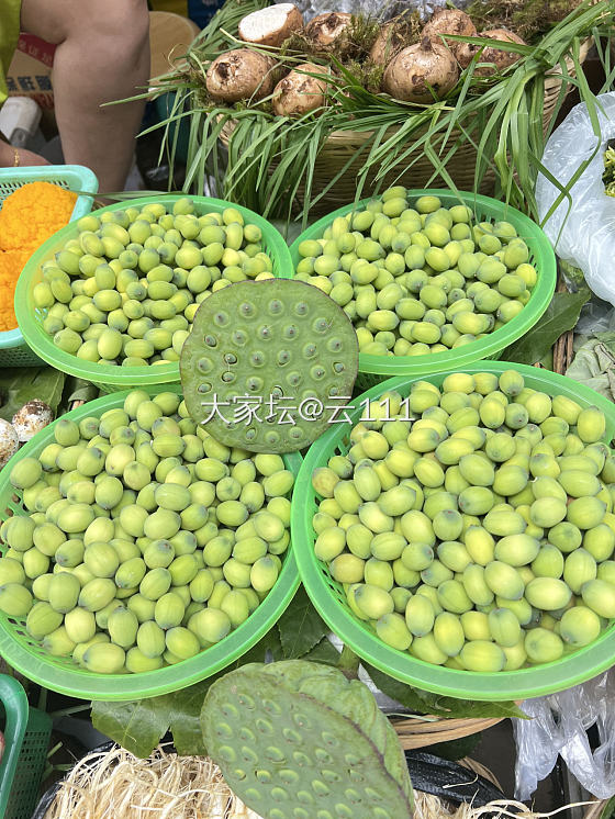 昆明农贸市场逛一圈，收获满满😄😄😄
烤乳扇烤五花肉，各种可以吃的花，百合天麻橄榄..._闲聊食材