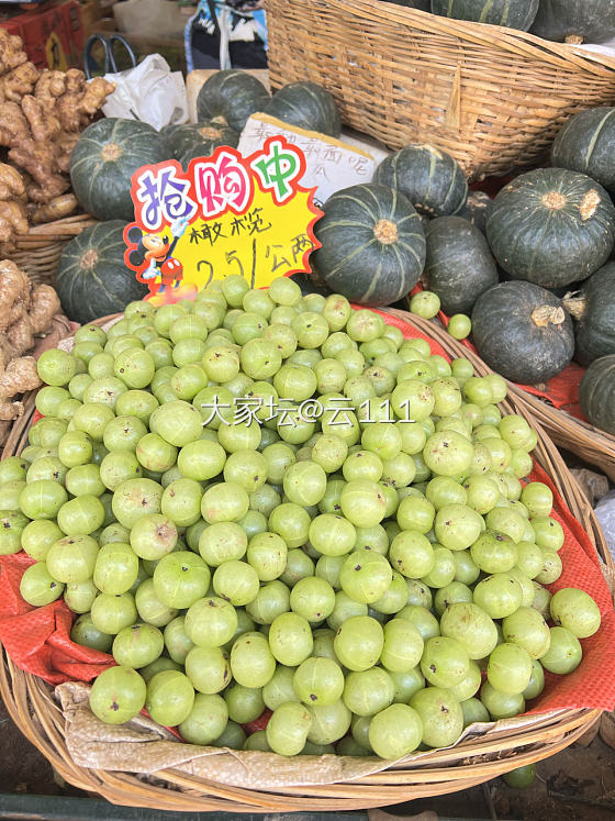 昆明农贸市场逛一圈，收获满满😄😄😄
烤乳扇烤五花肉，各种可以吃的花，百合天麻橄榄..._闲聊食材