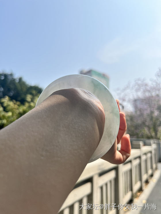 今日左手_手镯翡翠