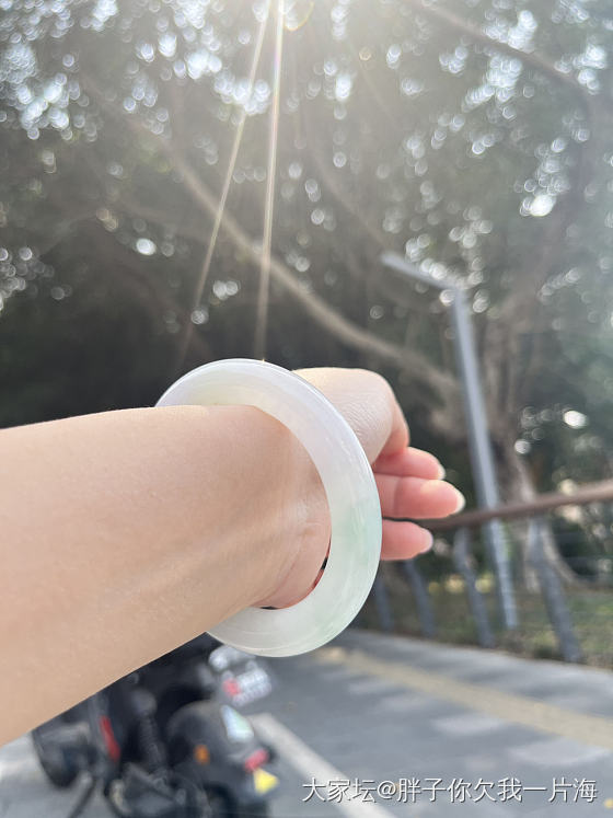 今日左手_手镯翡翠